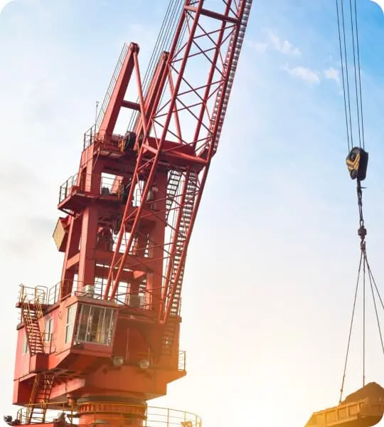 Crane image Our Vision crane image